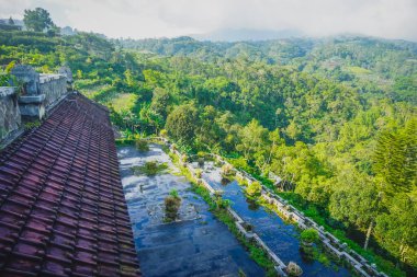 Endonezya 'nın Bali adasında terk edilmiş bir otel.
