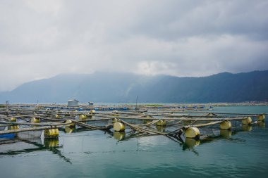 Bali 'de Batur Gölü' ndeki balık çiftlikleri