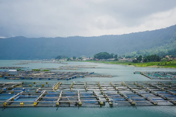 Fazendas Peixes Lago Batur Bali — Fotografia de Stock