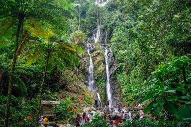 Bogor, Endonezya - 27 Aralık 2018: Doğal Park ve Curug Cilember Şelalesi