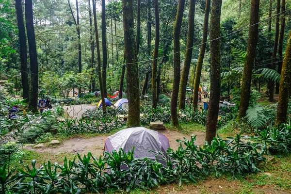 Богор Индонезия Декабря 2018 Года Природный Парк Куругский Водопад — стоковое фото