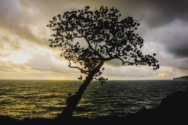 Endonezya 'nın Java adasının güneyindeki Hint Okyanusu kıyısı