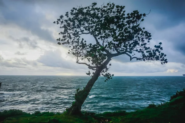 Costa Del Océano Índico Sur Isla Java Indonesia —  Fotos de Stock