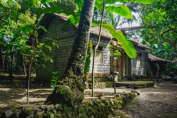Rumah Desa Hutan Indonesia — Stok Foto