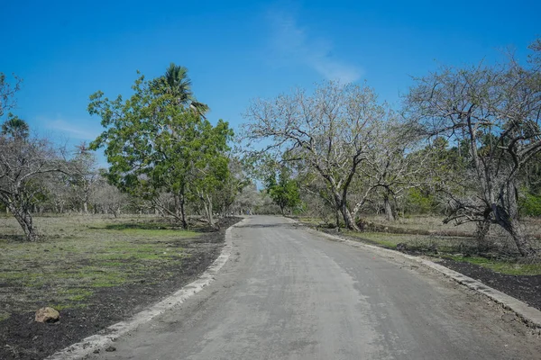 Estrada Selva Baluran Park Indonésia — Fotografia de Stock