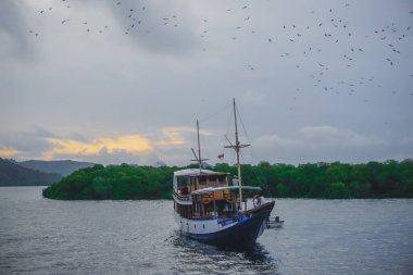 Komodo Adası, Endonezya - 17 Ocak 2019: Komodo Ulusal Parkı 'nın su alanındaki turizm gemisi