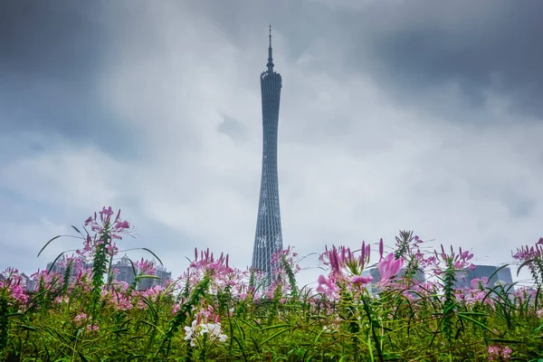 Mooie Kanton Toren Guangzhou — Stockfoto