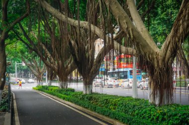 Xiamen, Çin - 7 Haziran 2019: Şehir Parkı ve atmosferi