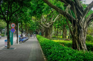 Xiamen, Çin - 7 Haziran 2019: Şehir Parkı ve atmosferi
