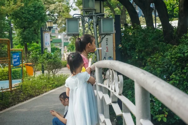 Xiamen Kina Juni 2019 Stadsparken Och Dess Atmosfär — Stockfoto
