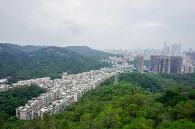 Xiamen şehri bir tepenin manzarası