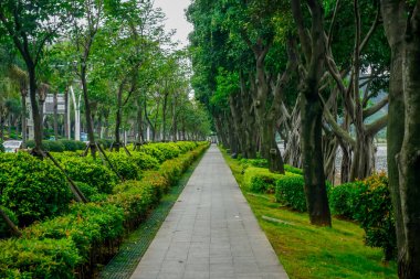 Xiamen şehir bahçesinde yürüyüş yolu