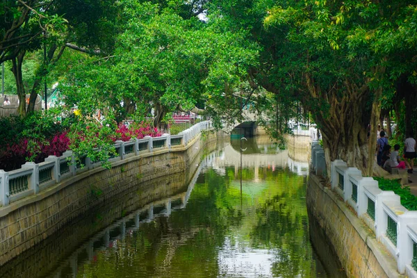 Prachtig Groen Park Xiamen Stad — Stockfoto