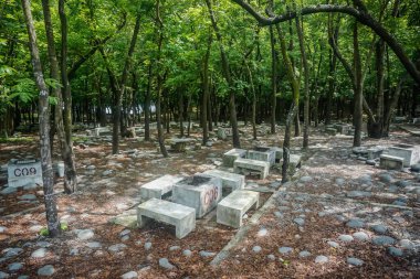 Kaohsiung 'daki parkta barbekü mekanları