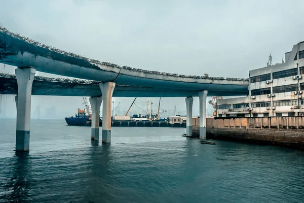 Puente Bahía Muelle Ciudad Xiamen China — Foto de Stock