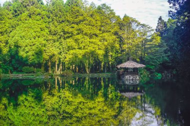 Alishan Park 'ta gölün ortasında güzel bir çardak.