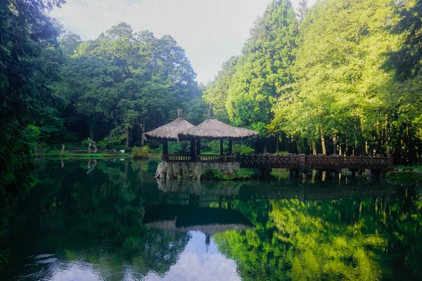 Hermoso Mirador Medio Del Lago Alishan Park —  Fotos de Stock