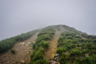 Hehuan dağı sisli tepede.