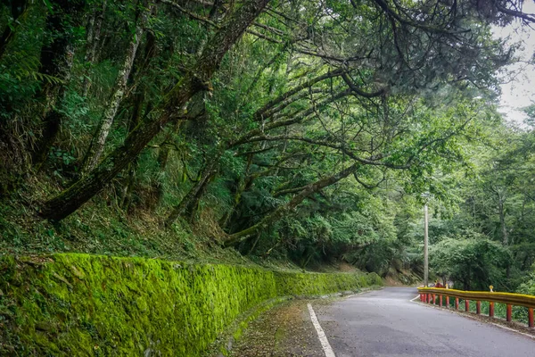 Beautiful Mountain Road Taiwan — Stock Photo, Image