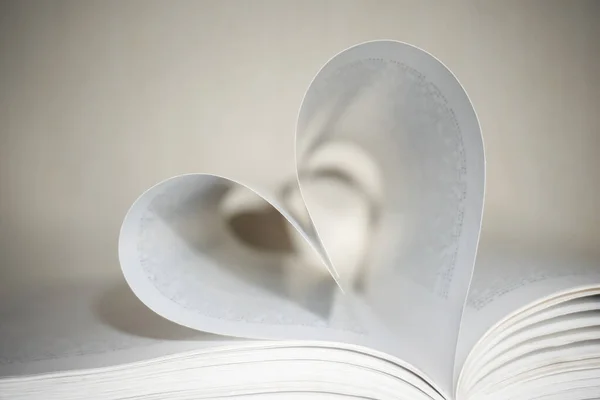 Heart Pages Book — Stock Photo, Image