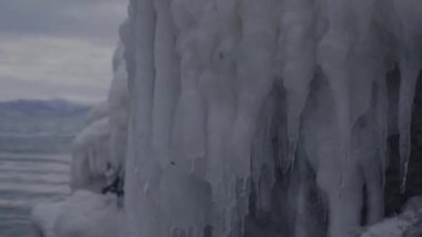 Kamçatka 'nın buzlu kıyıları ve deniz aslanları