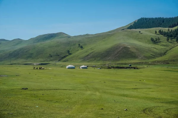 Beautiful Landscapes Fields Hills Mongolia — Stok fotoğraf