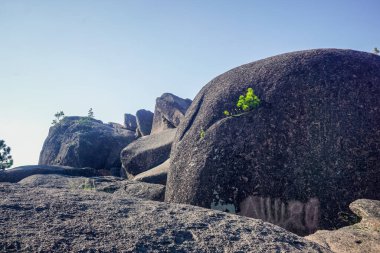 Krasnoyarsk Sütunları Doğa Koruma Alanı Rusya 'daki eşsiz yerlerden biridir.