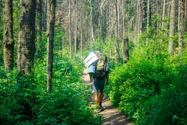 Trilha Caminhadas Reserva Natural Pilares Krasnoyarsk — Fotografia de Stock