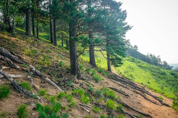 Krasnoyarsk Pilastri Riserva Naturale Uno Dei Luoghi Unici Russia — Foto Stock