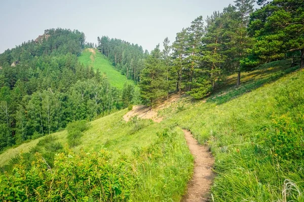 Hiking trail in the nature reserve Krasnoyarsk Pillars