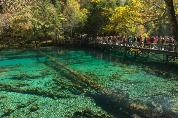 Jiuzhaigou, Çin