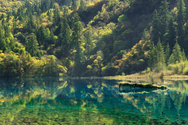 Jiuzhaigou, Çin