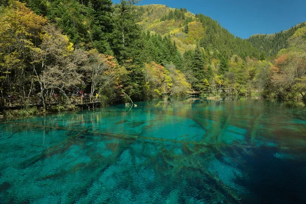 Jiuzhaigou, Çin