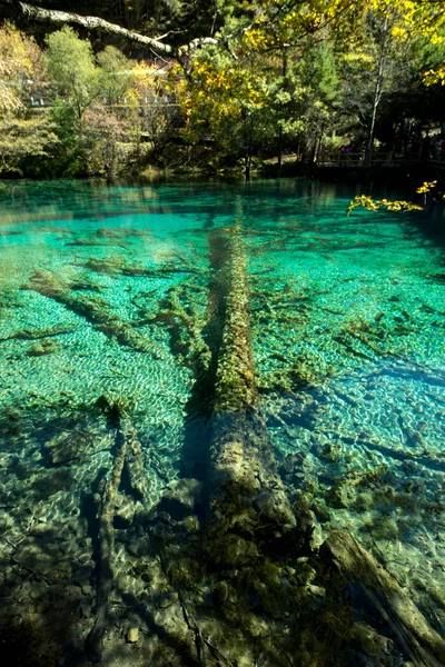 Jiuzhaigou, Çin