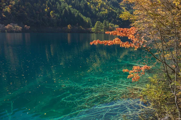 Jiuzhaigou, Çin