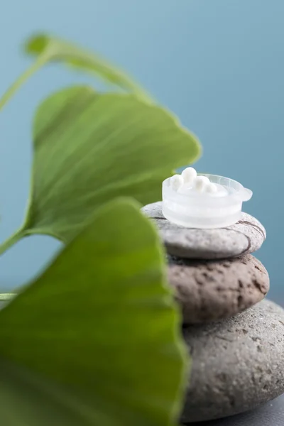 Globules d'homéopathie, ginko et pierres — Photo