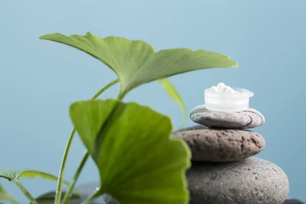 Globules d'homéopathie, ginko et pierres — Photo