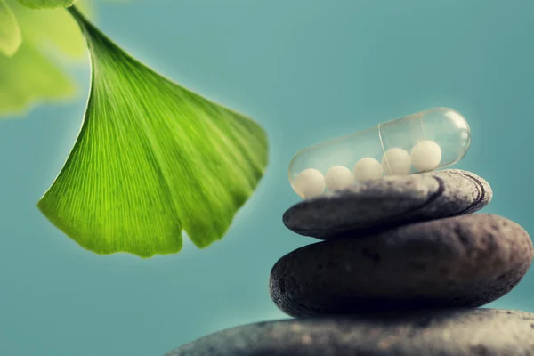 Homeopathy pill globules,ginko and stones — Stock Photo, Image