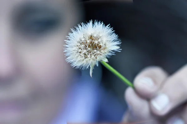 Dandelion in hand — Stock Photo, Image