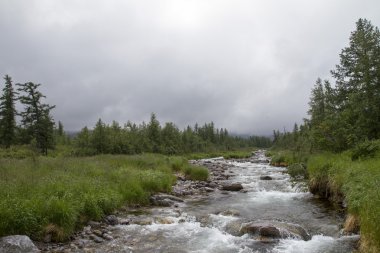 Dağ nehir hızlı akım ile