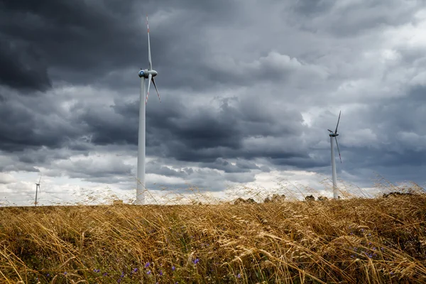 Windmühlen — Stockfoto