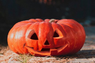 Amerikan bayramı için olgun zencefilli büyük geleneksel balkabağı