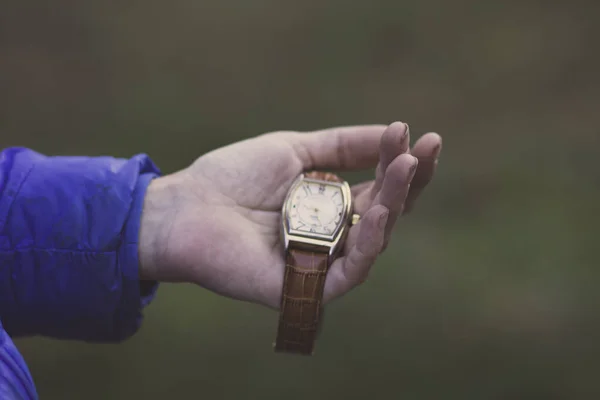 Élégante Montre Bracelet Mécanique Vintage Sur Bracelet Cuir Brun Dans — Photo