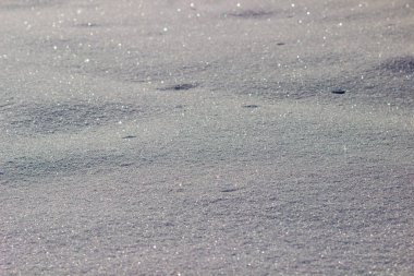 Soğuk havada, ağaçların dallarında yumuşak, tüylü kar.