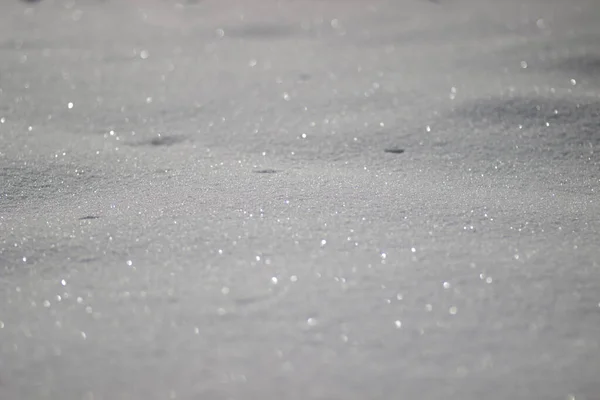 Morbida Neve Bianca Soffice Sui Rami Degli Alberi Nel Tempo — Foto Stock