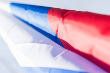 Küçük bir çocuğun çocuk eli ve üç renkli Rus.