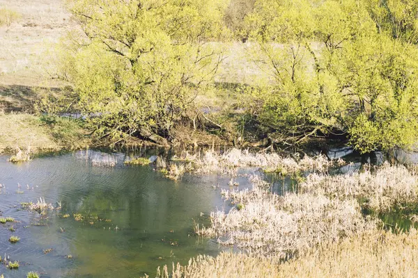 Spring Landscape Green Lawn Blue Pond Sunny Day — Stock Photo, Image