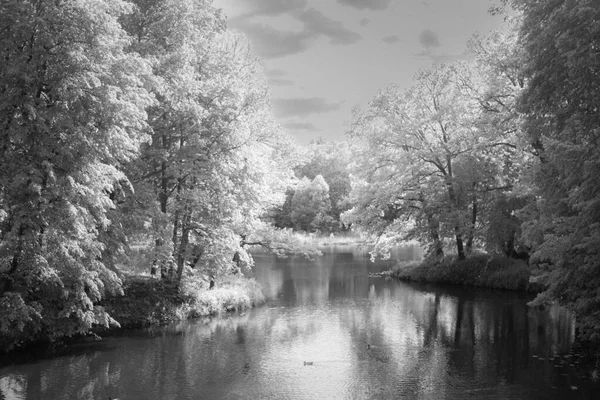 Schilderachtig Landschap Het Stadspark Oever Van Rivier Groene Bomen — Stockfoto