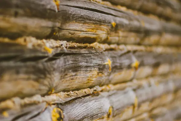 Parede Uma Casa Madeira Log Feita Troncos Redondos Madeira Seca — Fotografia de Stock