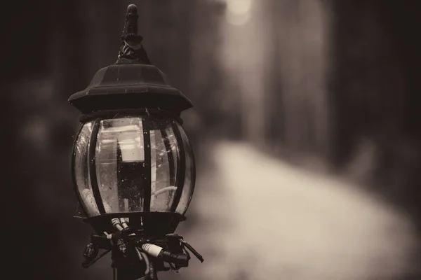 Vintage Straatverlichting Langs Het Pad Stadstuin — Stockfoto